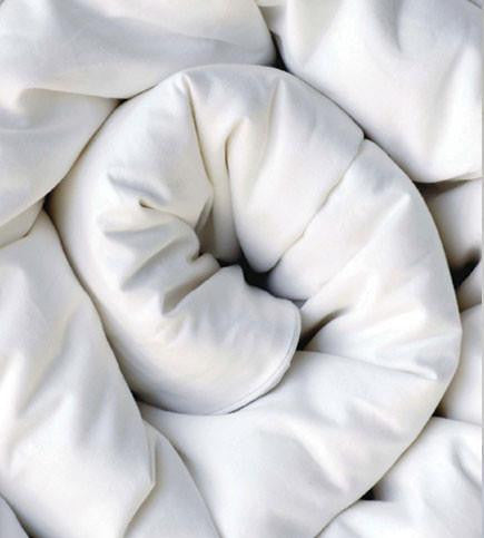 Silk Duvet Inner