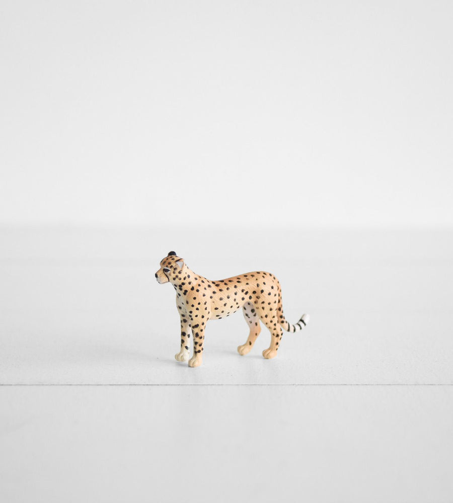 Little Animal | Cheetah