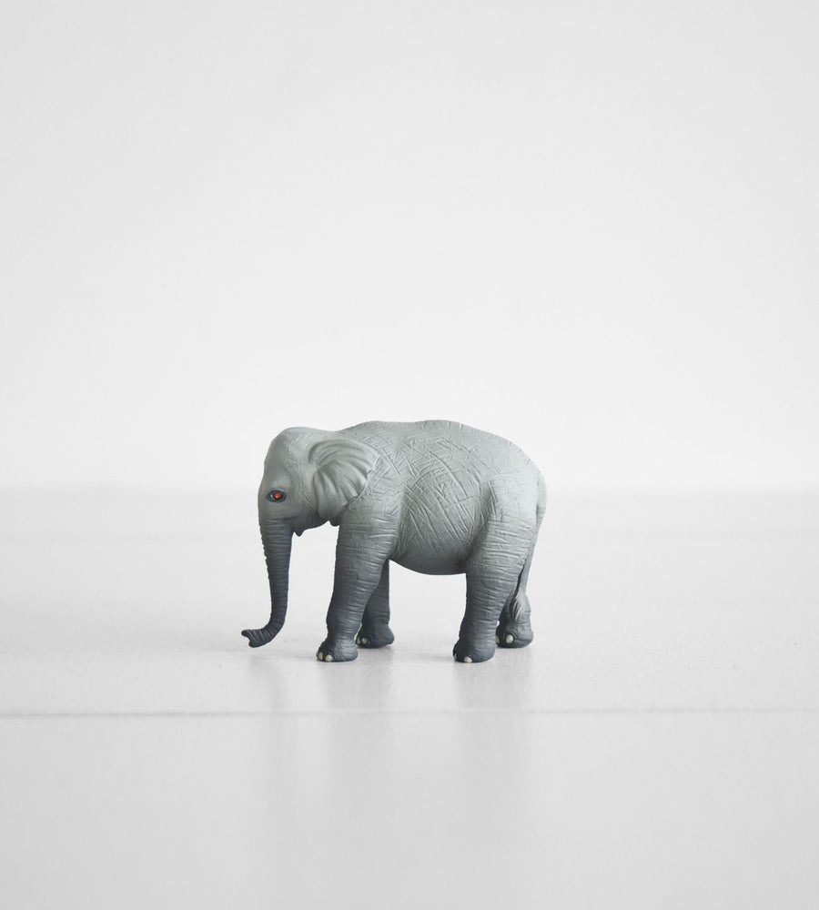 Little Animal | Elephant