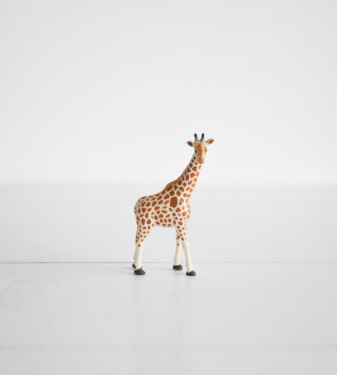 Little Animal | Giraffe