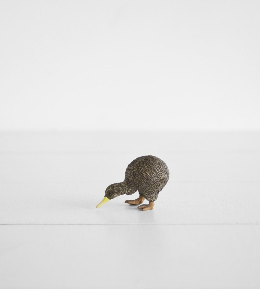 Little Animal | Kiwi