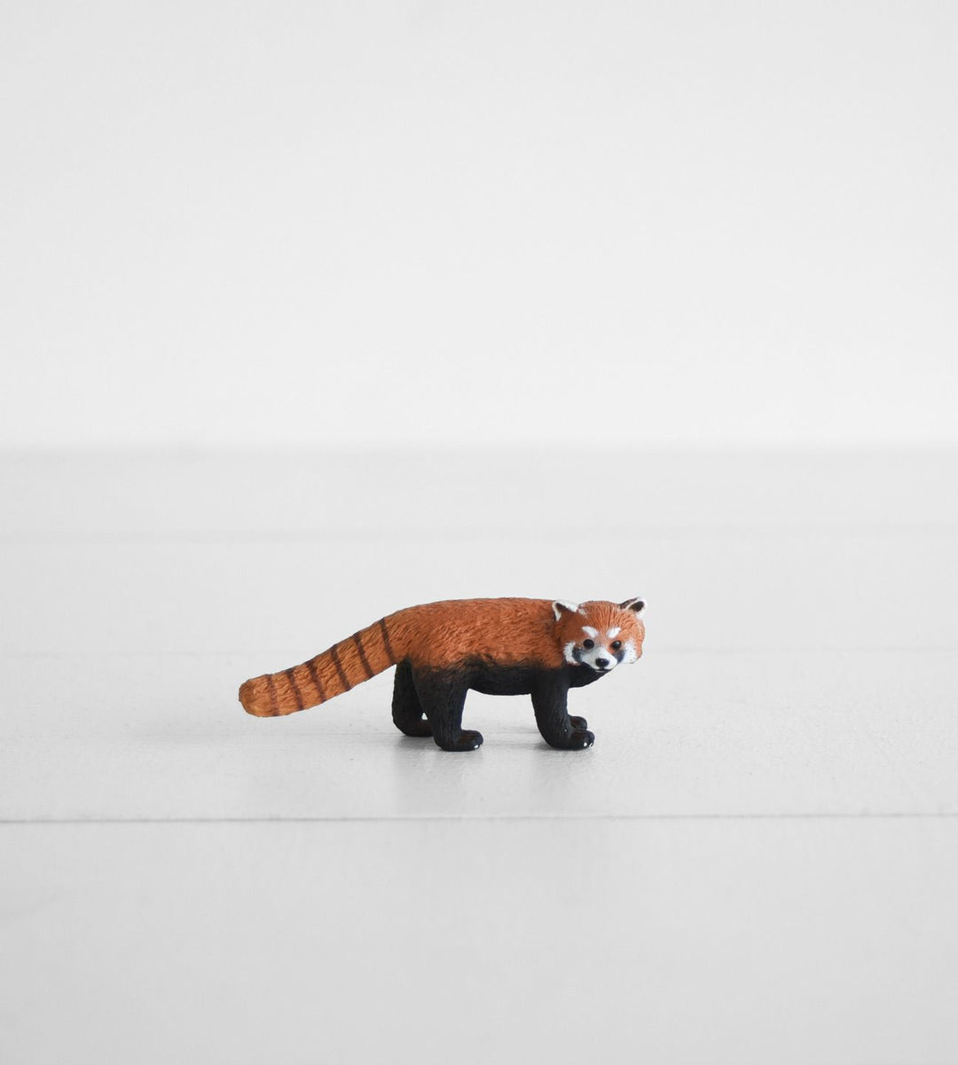 Little Animal | Red Panda