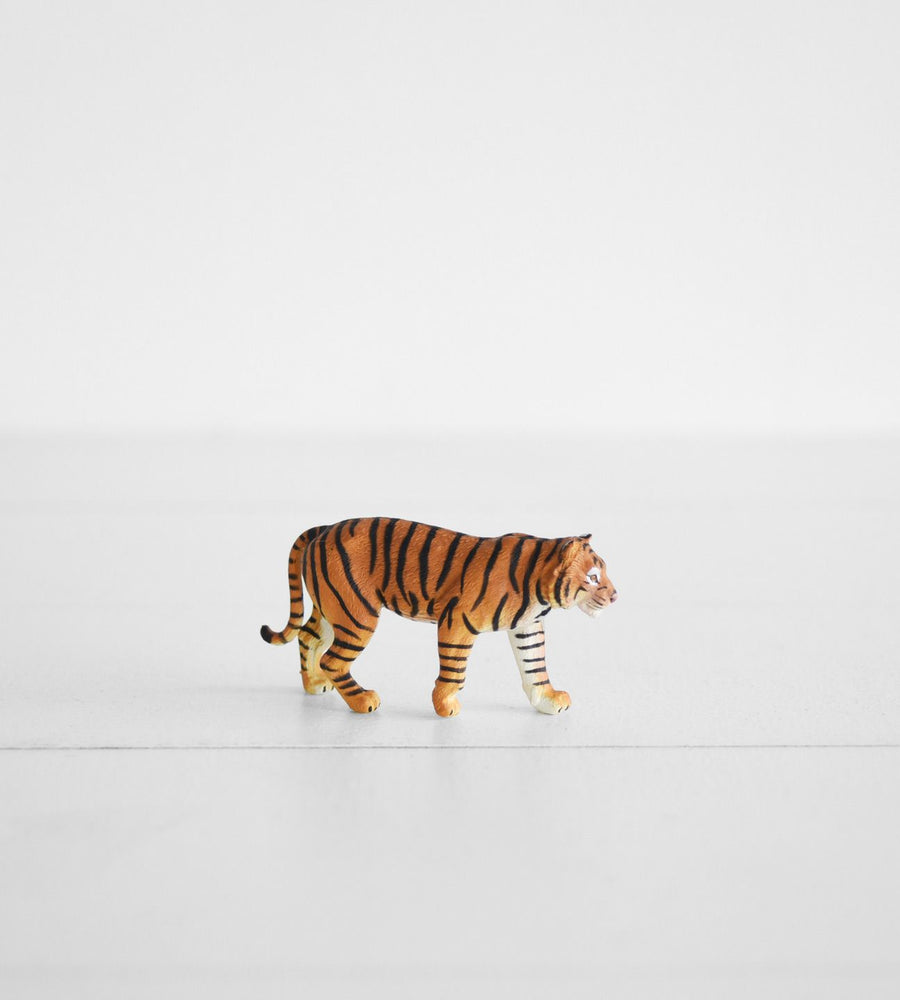 Little Animal | Tiger