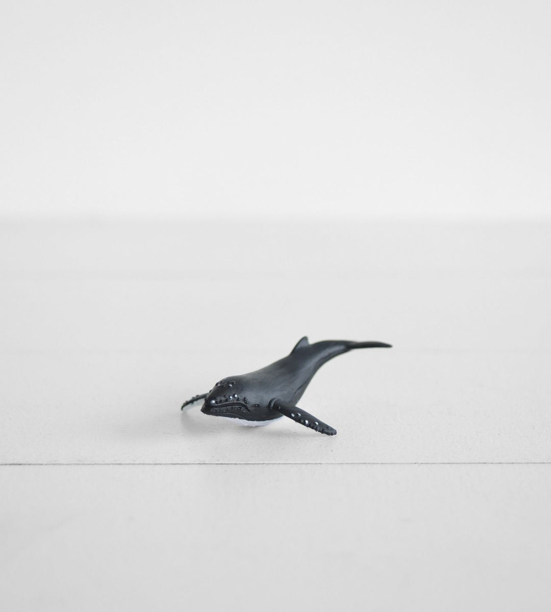 Little Animal | Humpback Whale