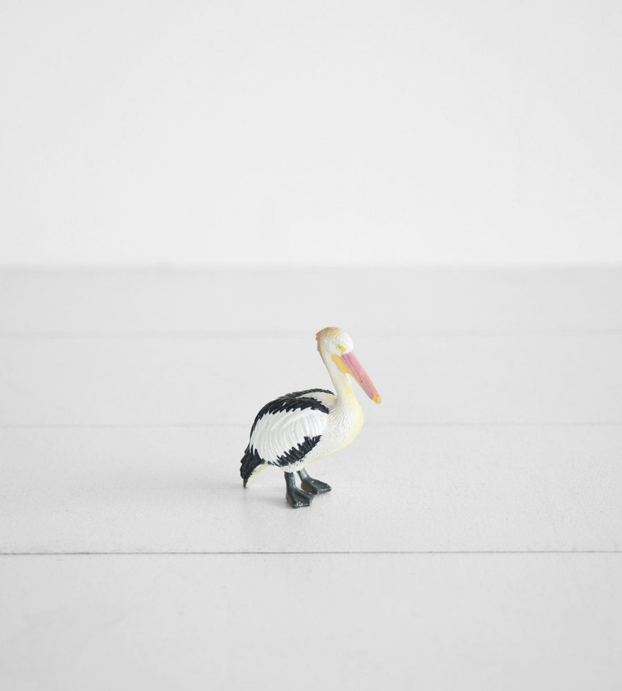 Little Animal | Pelican