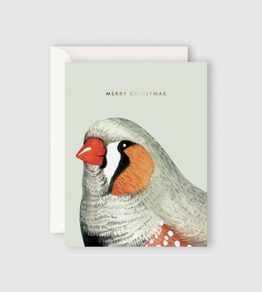 Father Rabbit Stationery | Merry Christmas Bird Card
