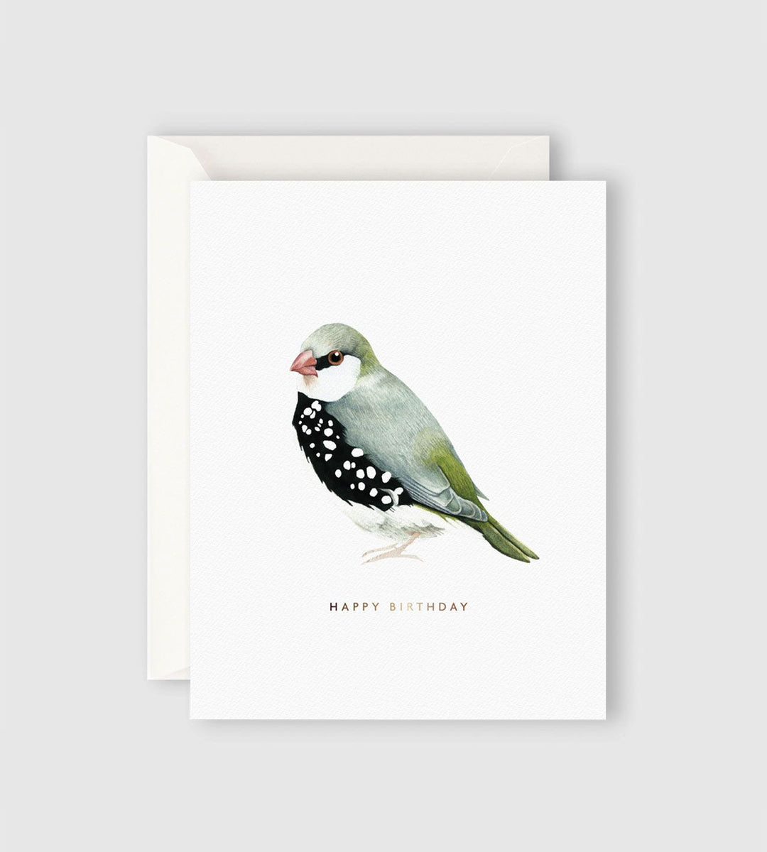 Father Rabbit Stationery | Happy Birthday Bird Card