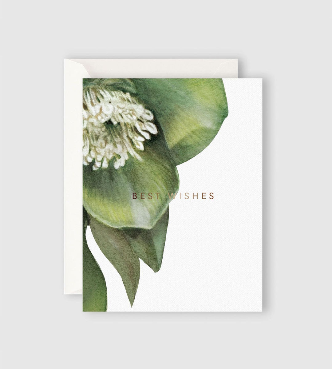 Father Rabbit Stationery | Hellebore Best Wishes Card