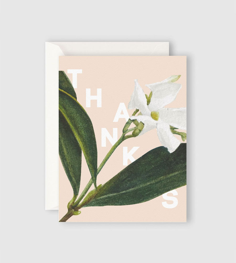Father Rabbit Stationery | Jasmine Thanks Card