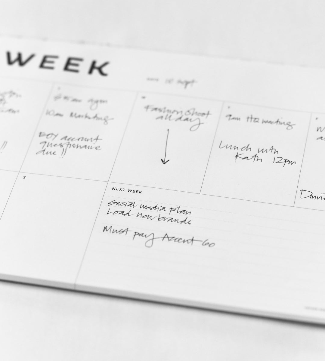 Father Rabbit Stationery | A4 Week Planner