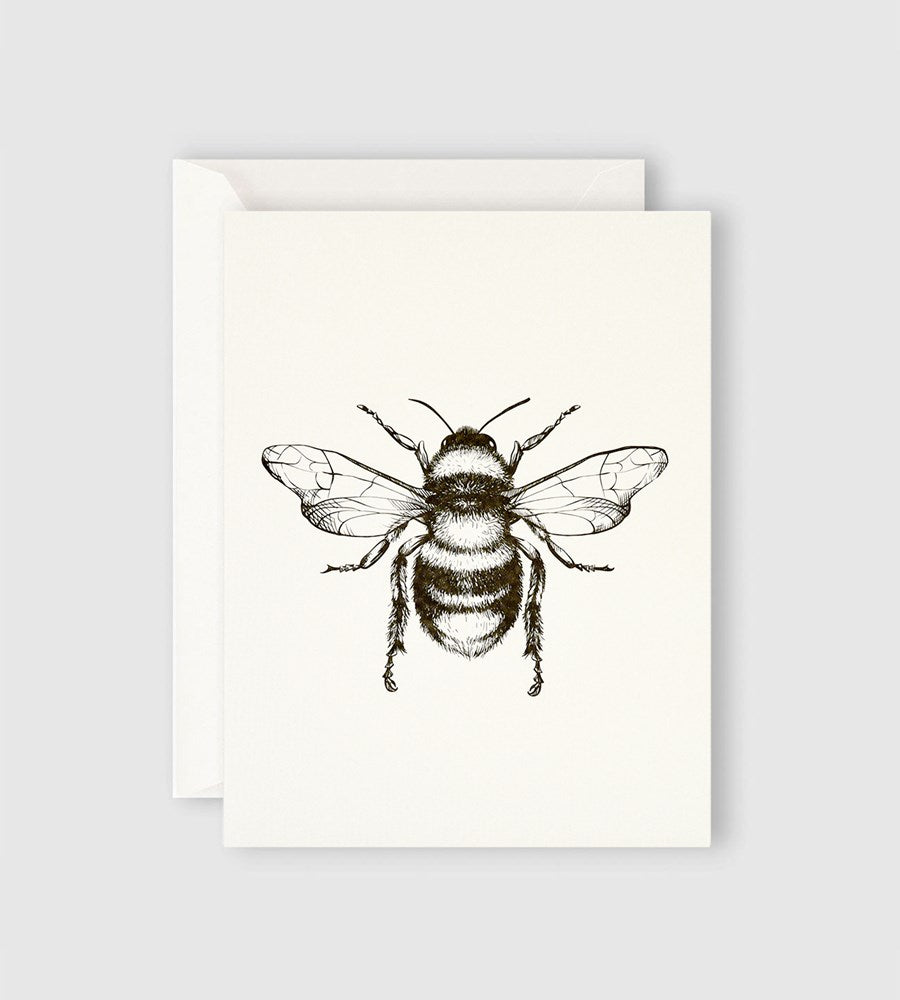 Father Rabbit Stationery | Bumble Bee Card