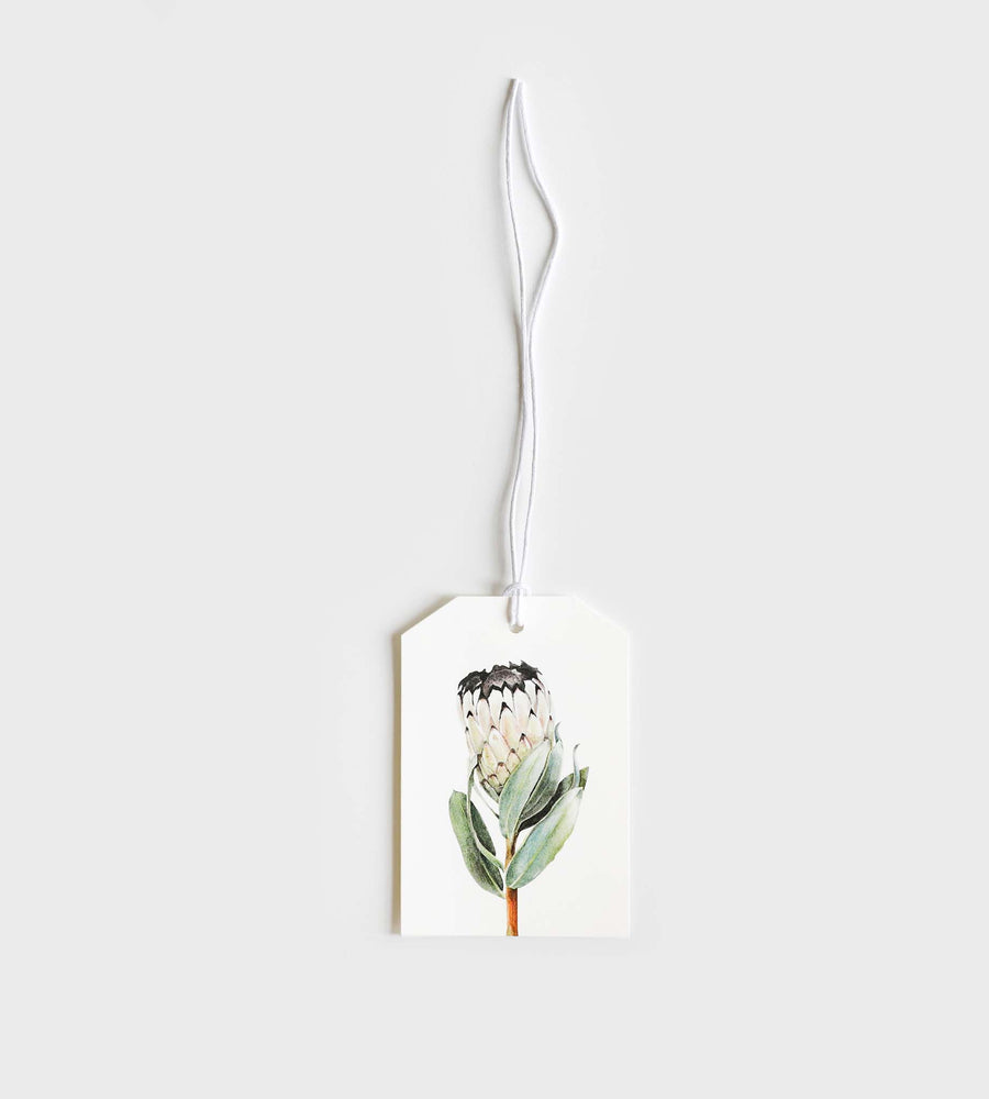 Father Rabbit Stationery | Gift Tag | Protea