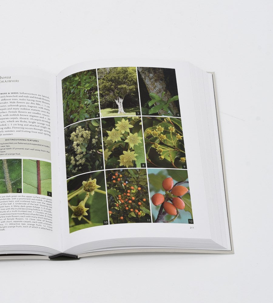 Field Guide to New Zealand's Native Trees | by John Dawson & Rob Lucas