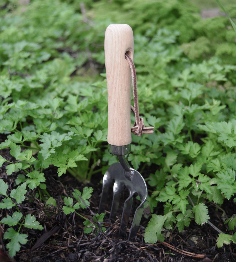 Garden Tool | Fork