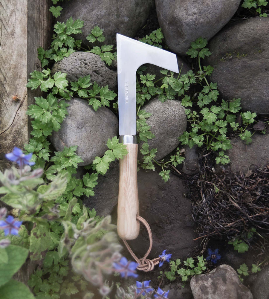 Garden Tool | Paving Weeder