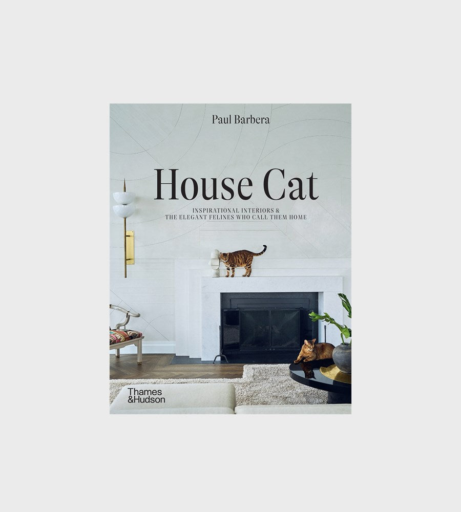 House Cat | By Paul Barbera