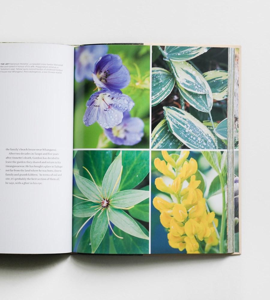 In The Company Of Gardeners | by Juliet Nicholas & Sue Allison