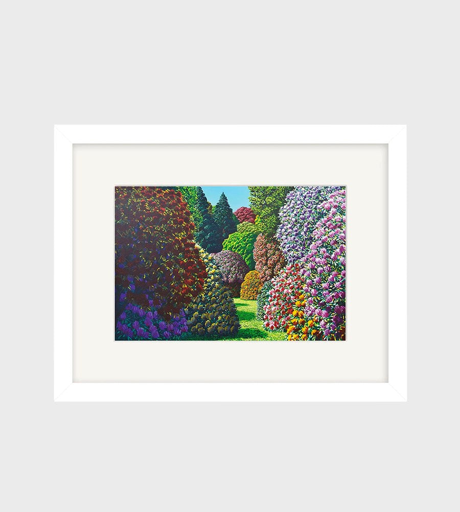 Karl Maughan | Forest Hill Small Art Print | Framed | White