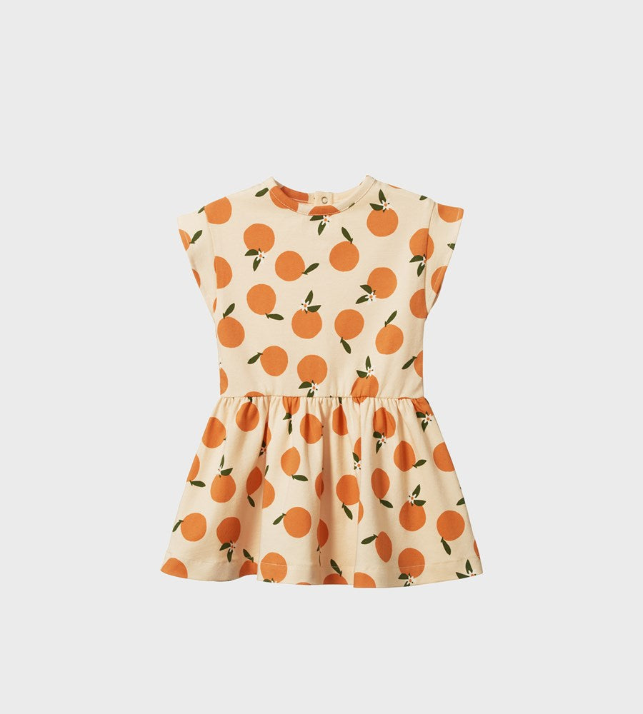 Nature Baby | Twirl Dress | Grande Orange Blossom Print