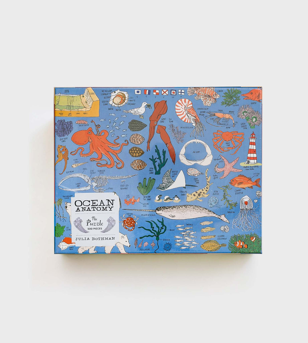Ocean Anatomy Jigsaw Puzzle | 500 Pieces