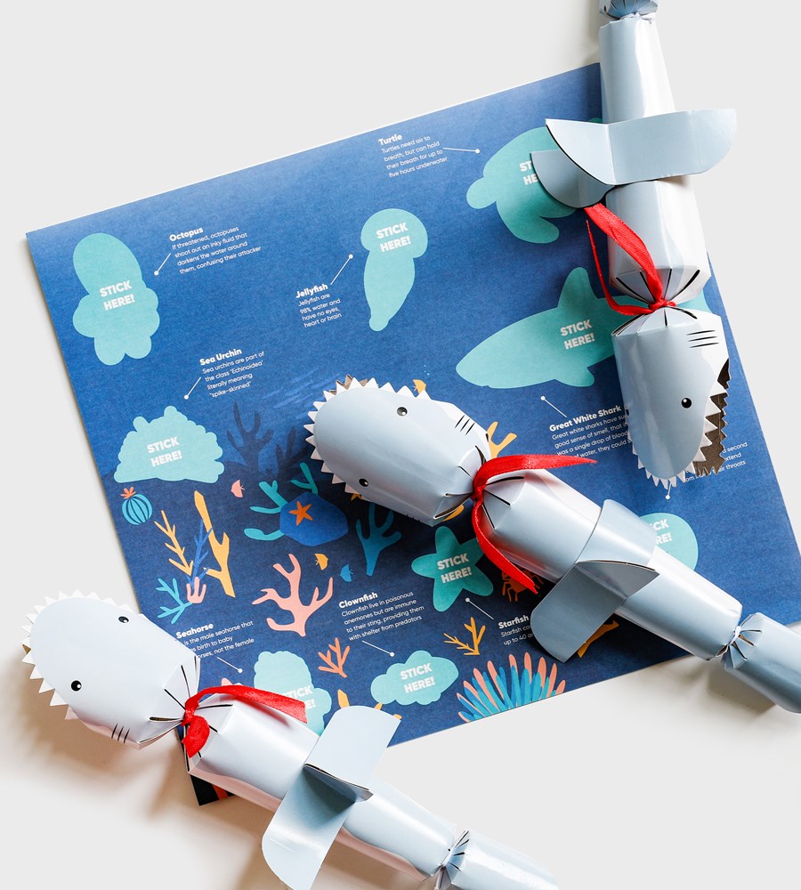 Paperie | Christmas Cracker Set of 6 | Shark Sticker