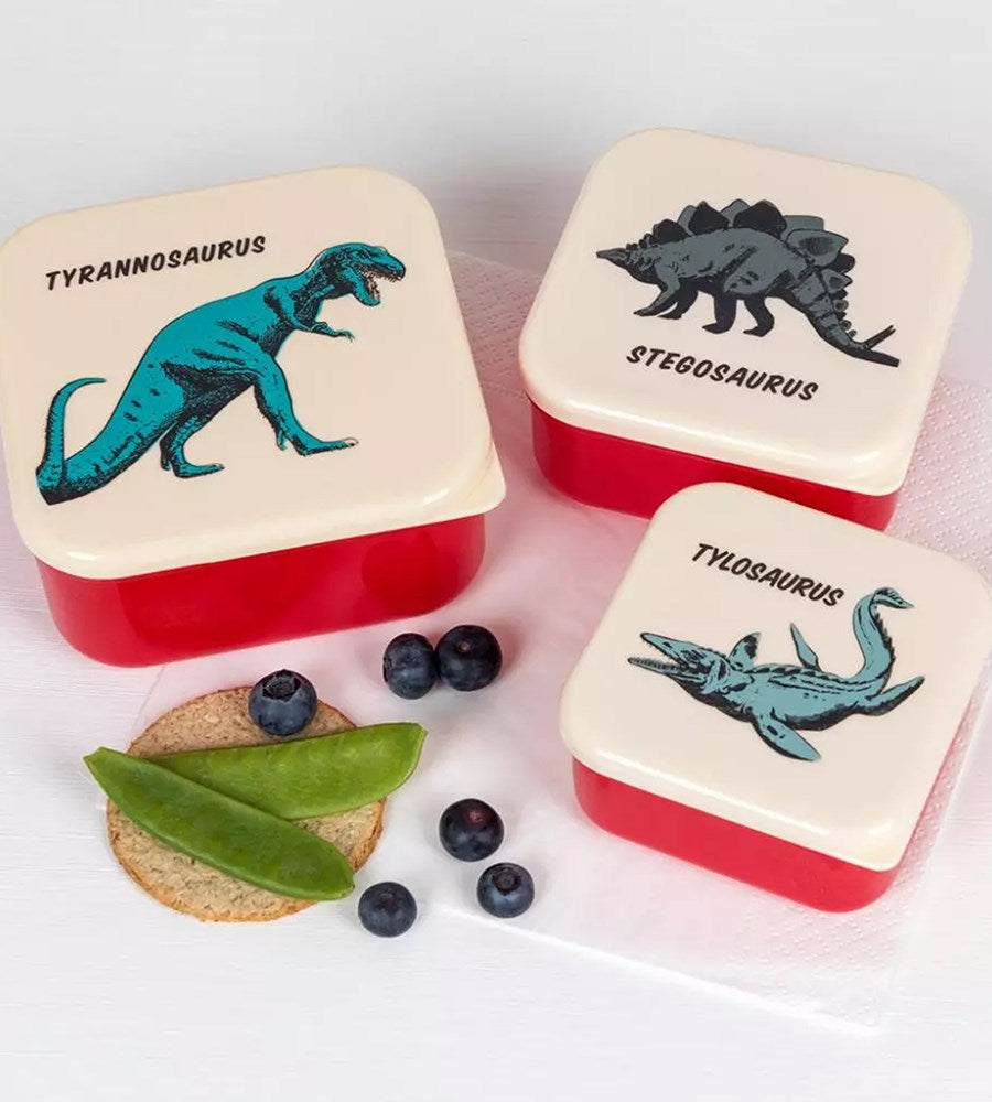 Prehistoric Land Snack boxes