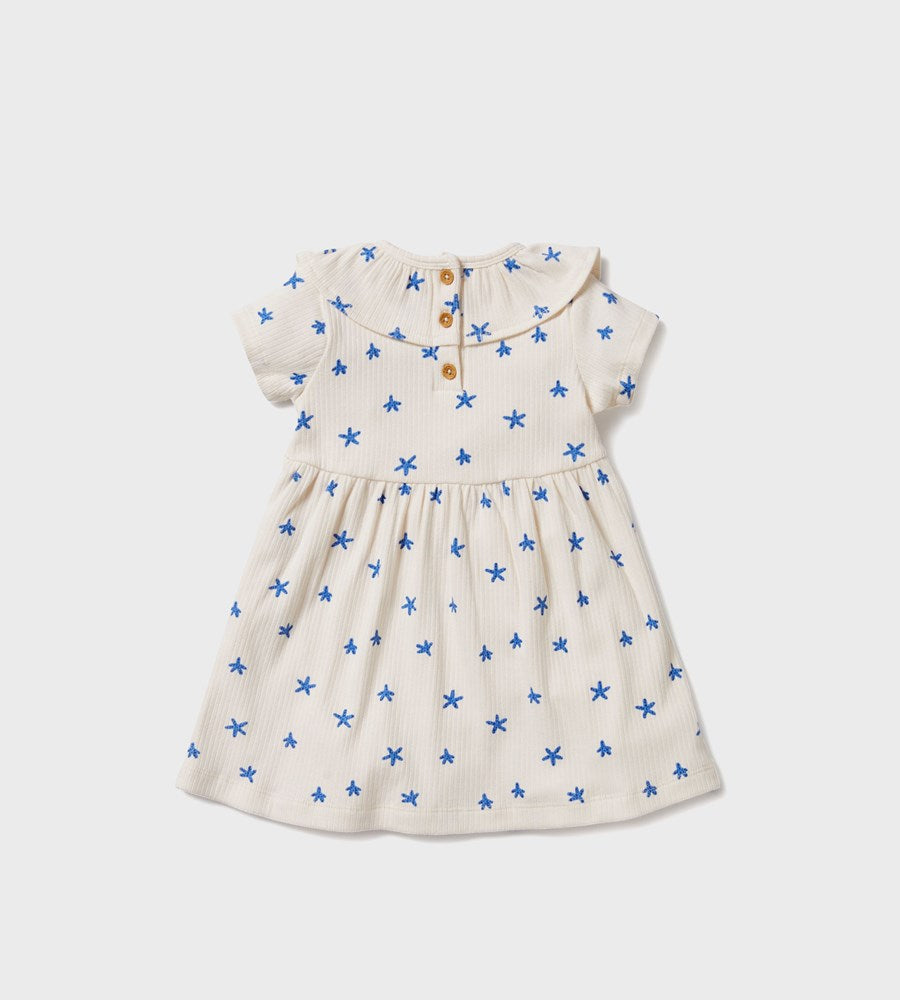 WIlson & Frenchy | Little Starfish Organic Rib Ruffle Dress