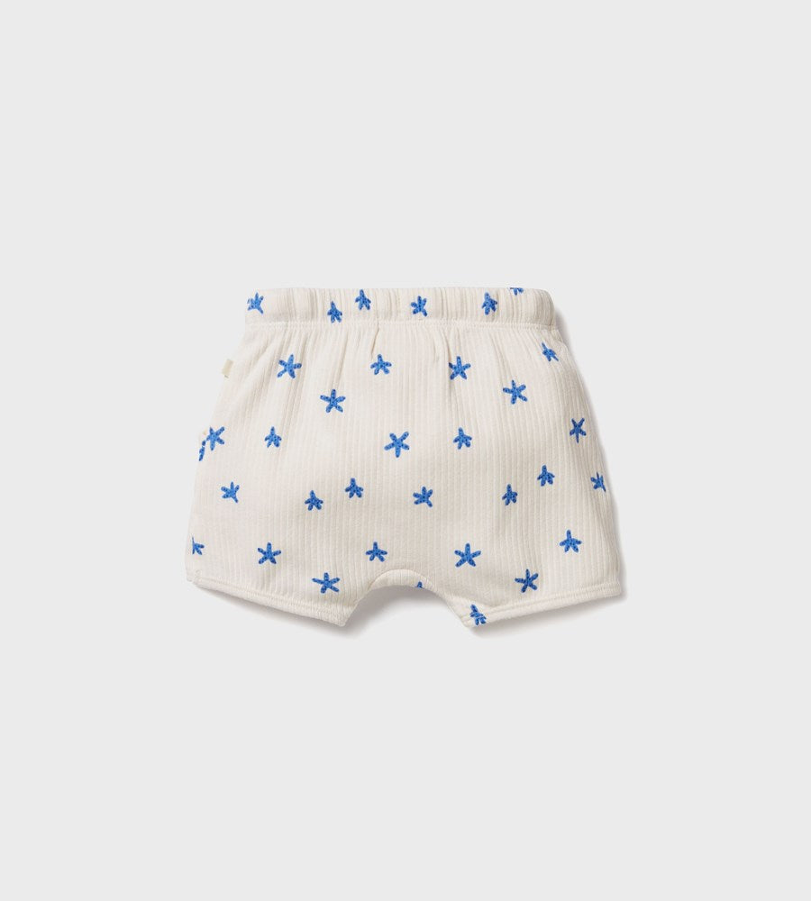 Wilson & Frenchy | Organic Rib Bloomer Short | Little Starfish