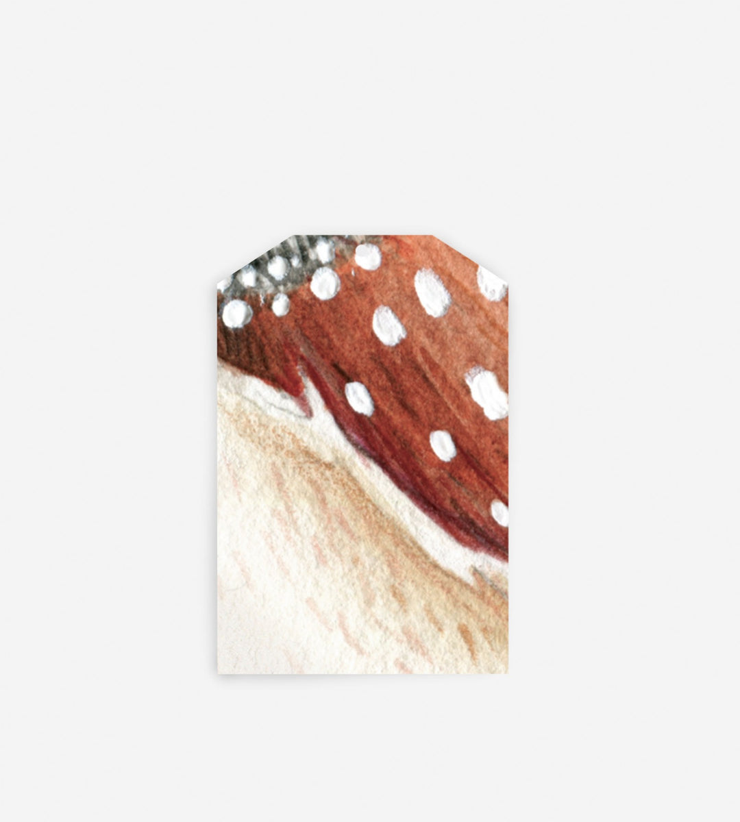 Father Rabbit Stationery | Gift Tag | Abstract Feather Terracotta