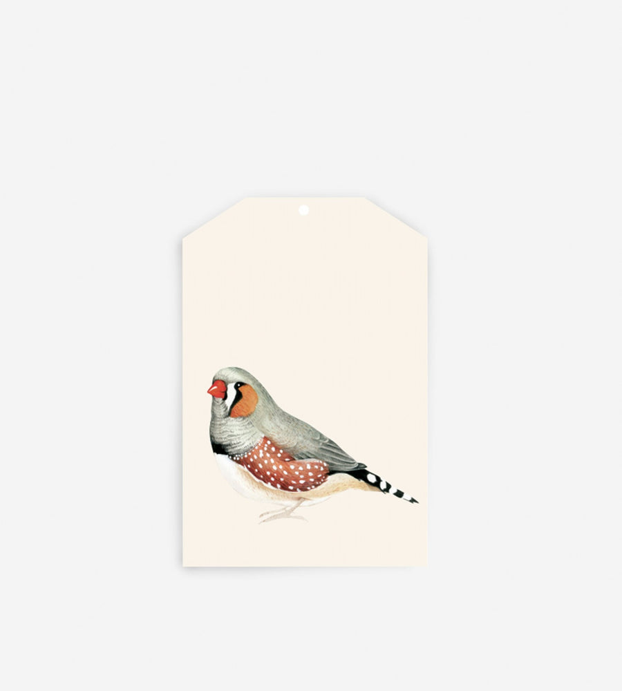 Father Rabbit Stationery Gift Tag Bird