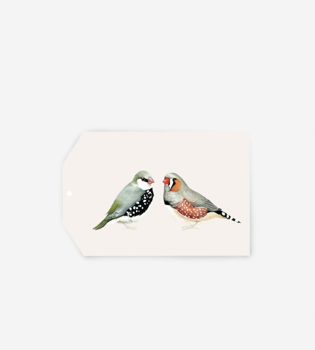 Father Rabbit Stationery Gift Tag A Couple of Birds