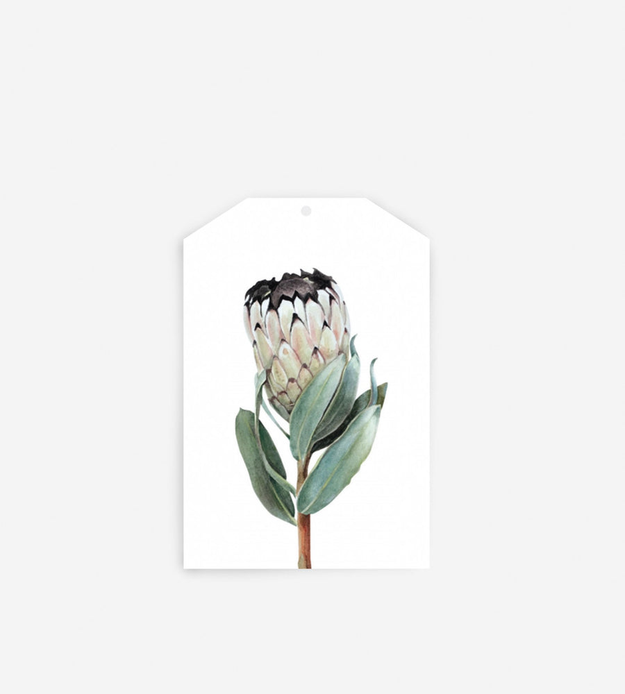 Father Rabbit Stationery | Gift Tag | Protea
