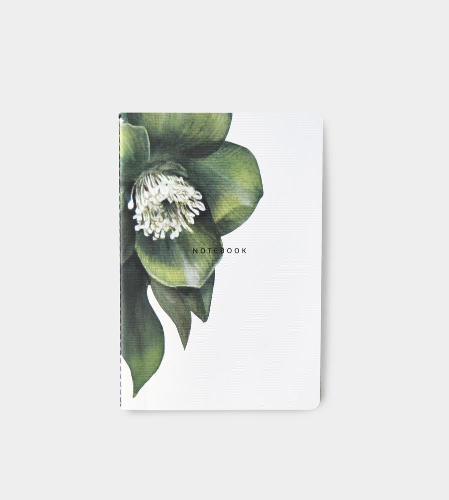 Father Rabbit Stationery | Notebook | Hellebore